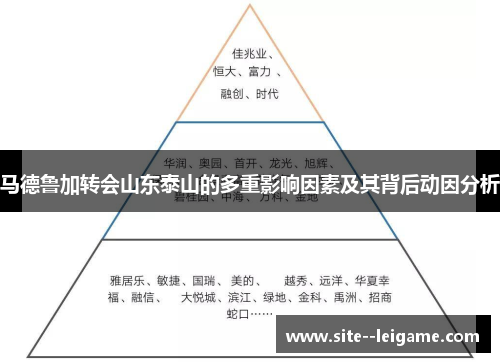 马德鲁加转会山东泰山的多重影响因素及其背后动因分析