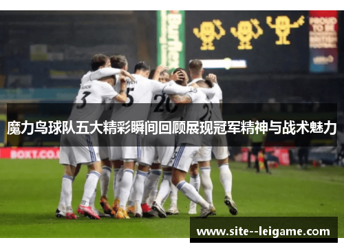 魔力鸟球队五大精彩瞬间回顾展现冠军精神与战术魅力