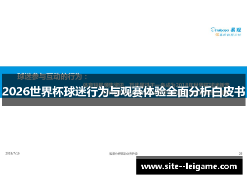 2026世界杯球迷行为与观赛体验全面分析白皮书